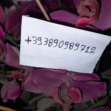 Casa Salento Apartamento