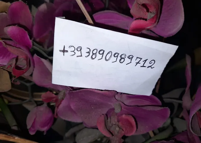 Casa Salento Apartamento